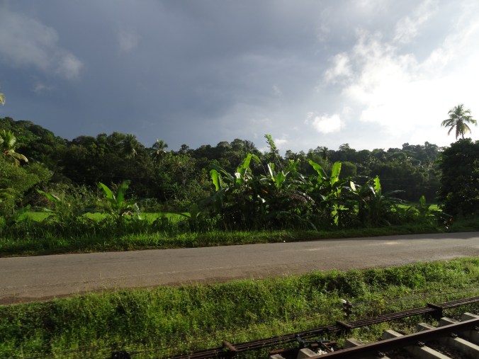 View from the train, Sri Lanka