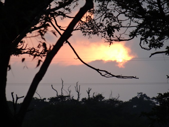 Sunset in Cinnamon Lodge Habarana, Sri Lanka
