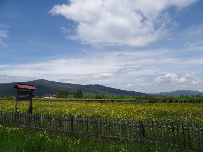 Meadows on the way from Humor to Lake Bicaz