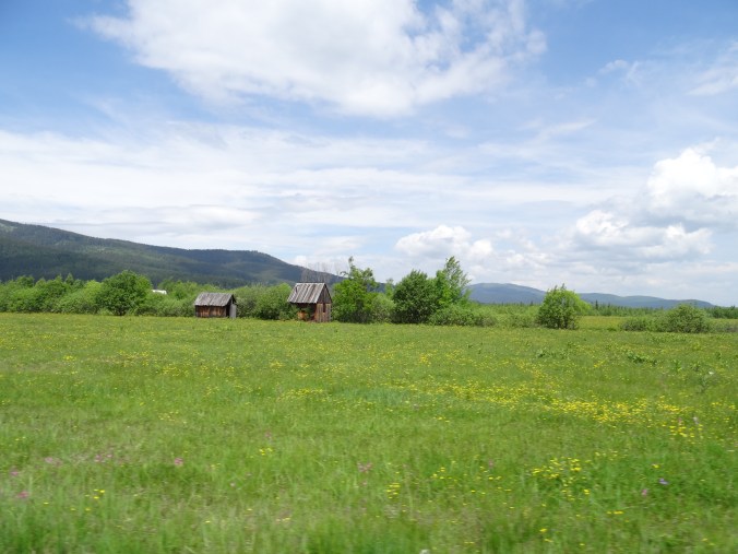 Meadows and tiny hay stores, Romania