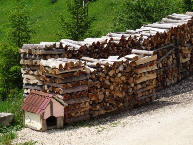 Woodpile in Romania