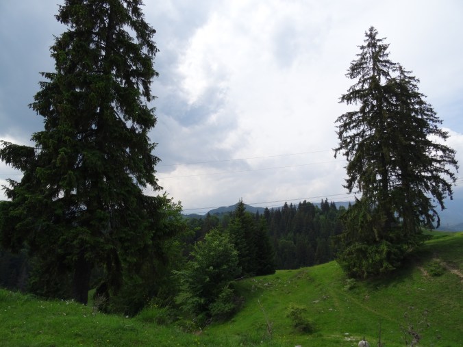 Somewhere between Argeș and Brașov counties