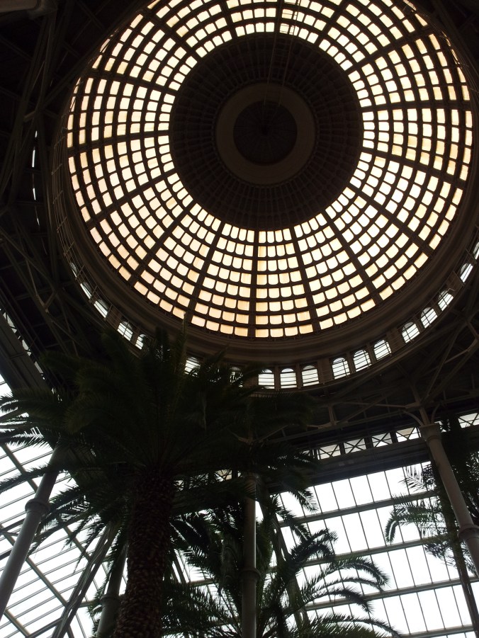 The ceiling of the winter garden in Denmark's Glyptotek