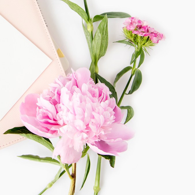 SSS Bundle pink gold 1.jpg