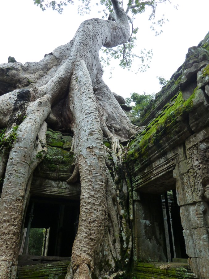 Ta Prohm temple