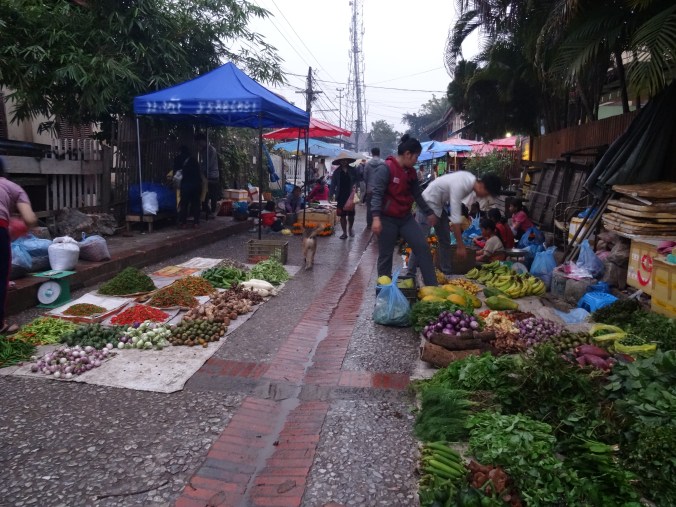 Luang Prabang's morning market