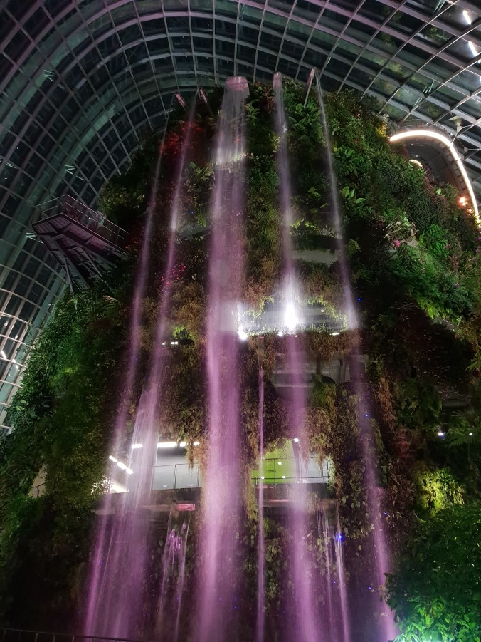 Cloud Forest waterfall, Gardens by the Bay, Singapore