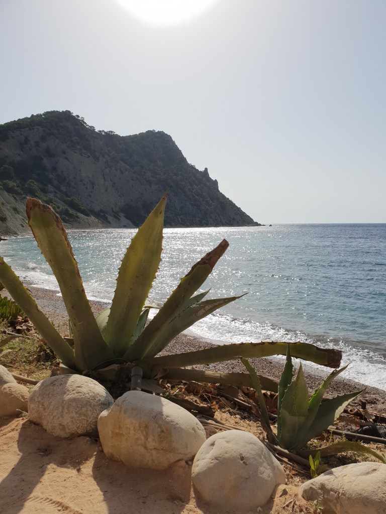 Amante beach club Ibiza