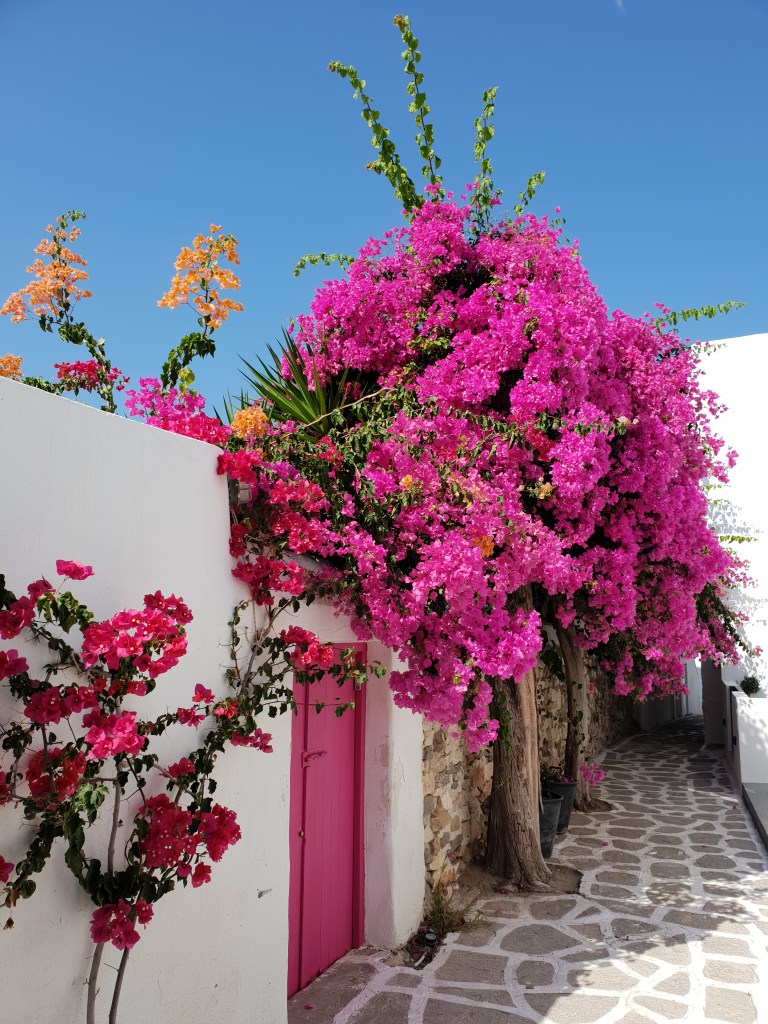 Instagram Naousa, Paros