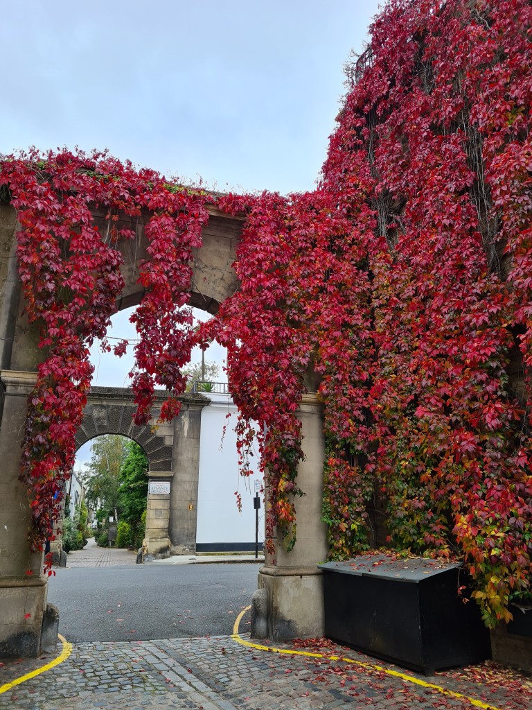 Kynance Mews autumn