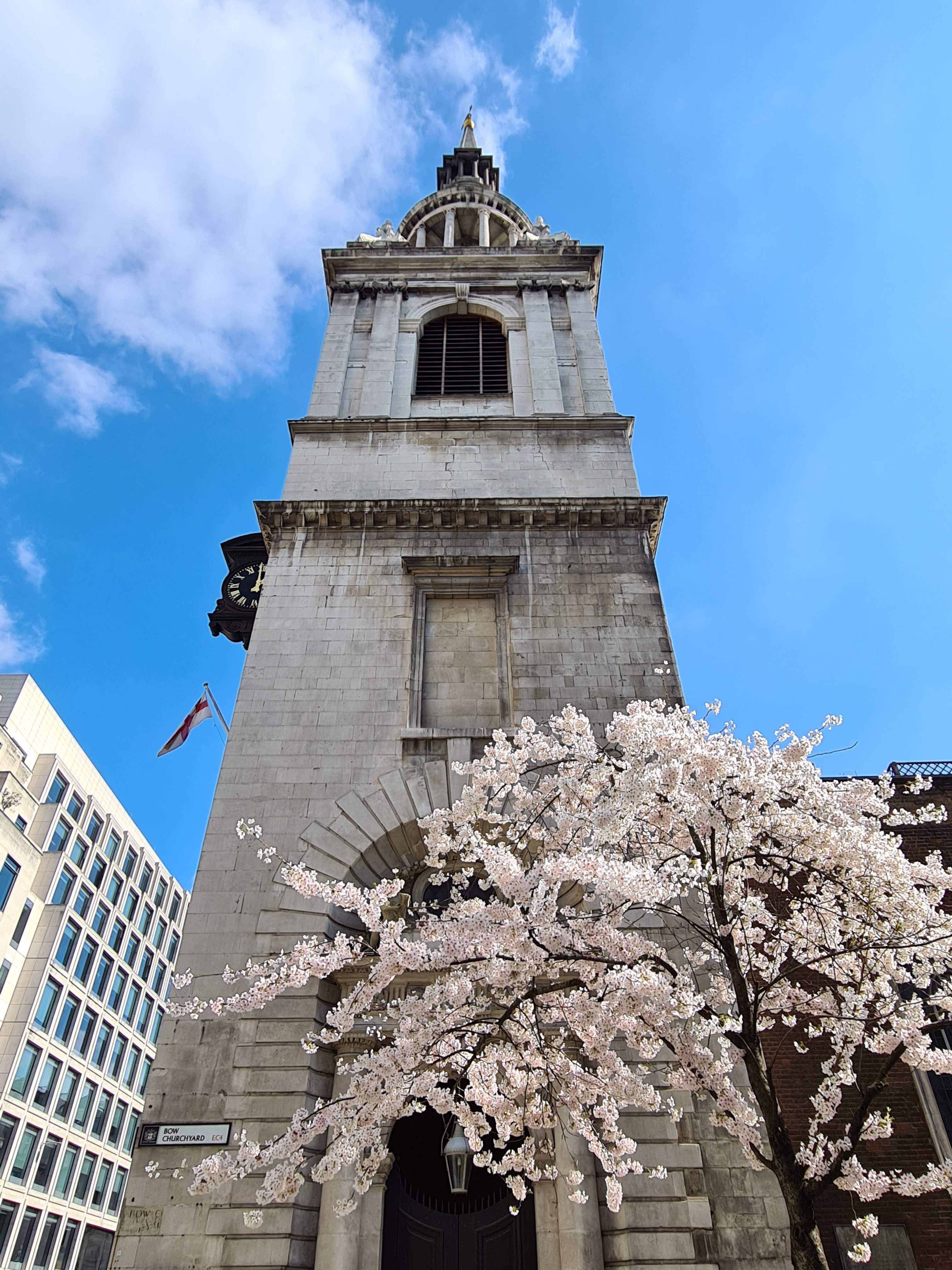 Instagrammable blossom London