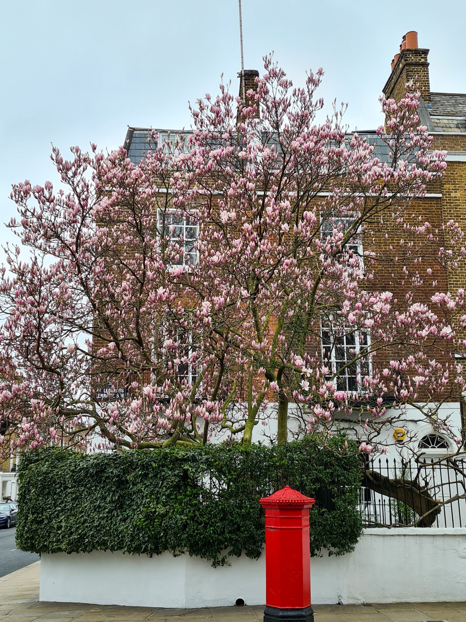 Instagrammable London blossom