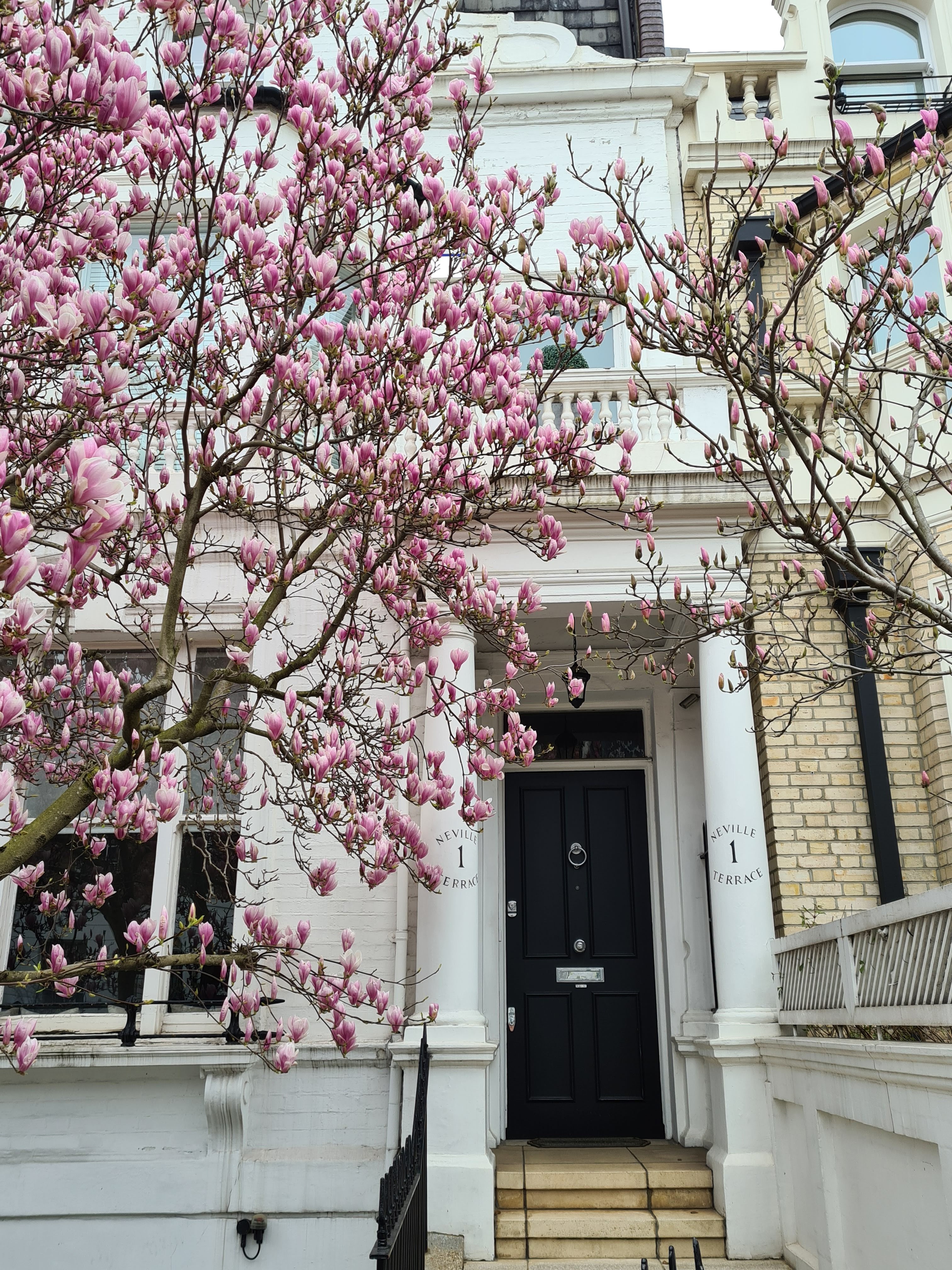 Instagrammable London blossom