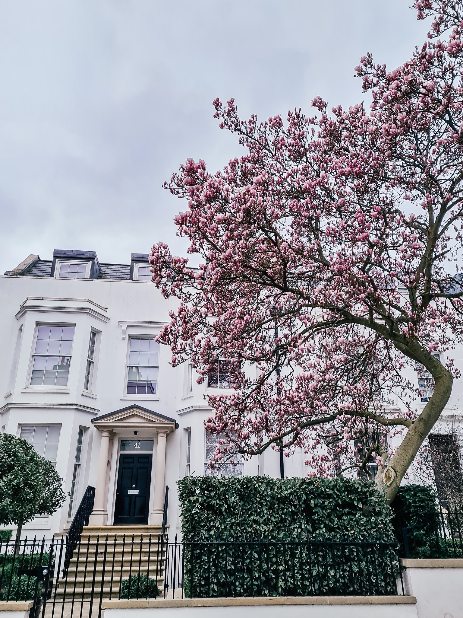 Instagrammable London blossom