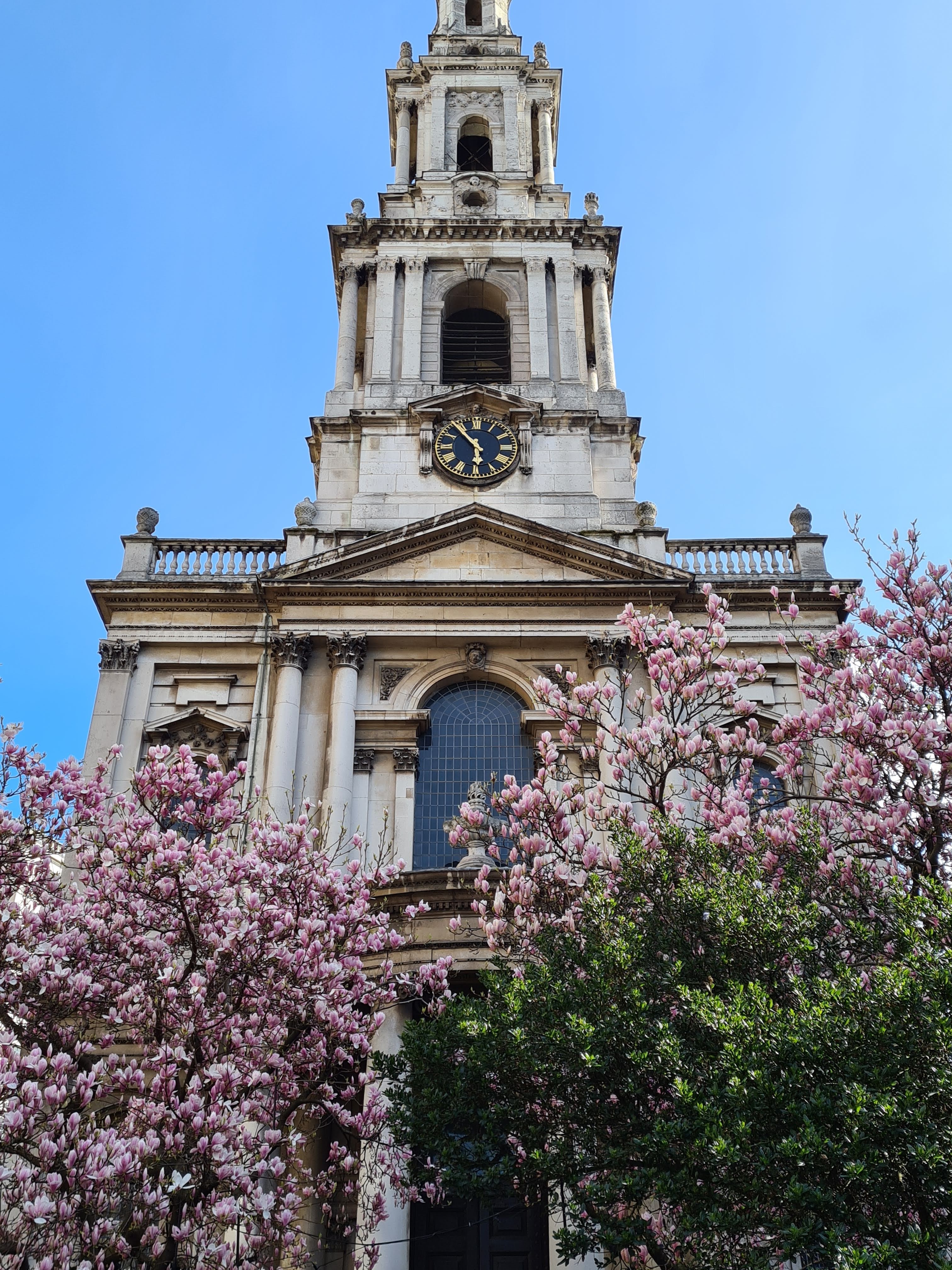 Instagrammable blossom London