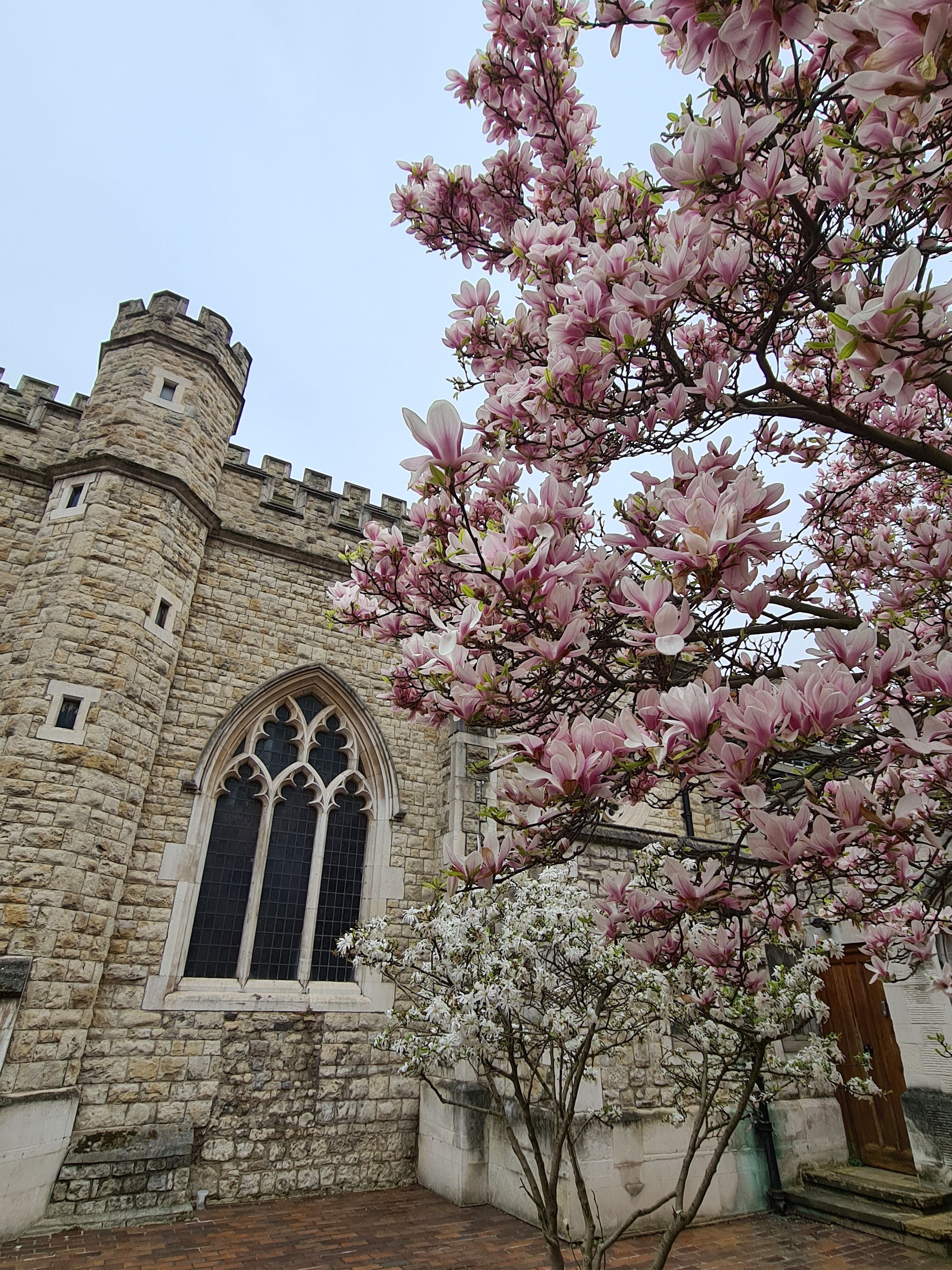 Instagrammable London blossom